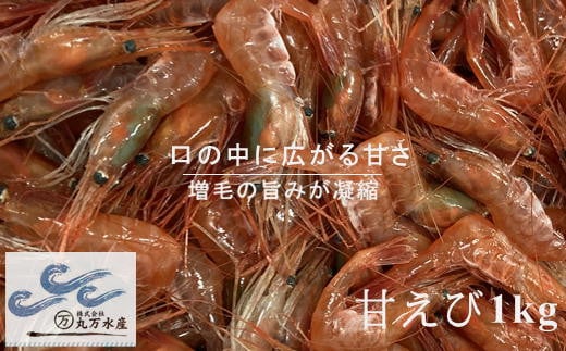 7-016-007　冷凍甘えび 1kg（70尾～90尾）