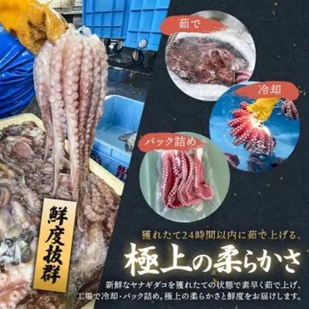 ヤナギダコ500g【産地直送】プリプリ食感 北海道 釧路町 昆布森産_噛むたびに広がる多幸の旨味 お刺身 鍋 煮物に最適 栄養満点 贈答用 贈答品 にも最適 漁師直送 鮮度抜群 蛸 タコ たこ 足 刺