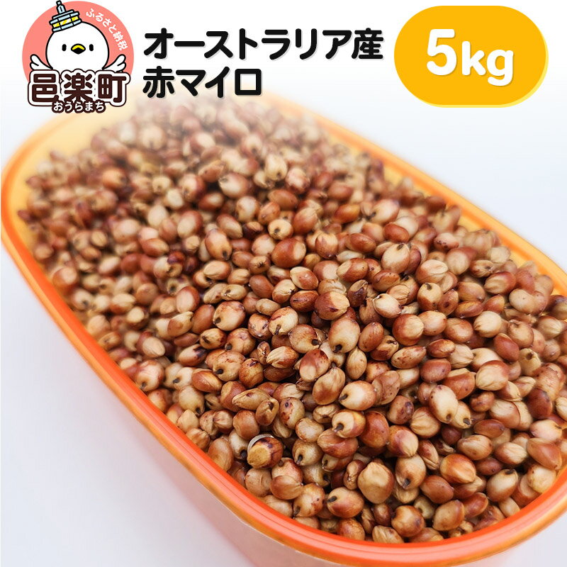 【ふるさと納税】赤マイロ オーストラリア産 5kg×1袋 サイトウ・コーポレーション 飼料