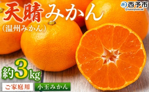 ＜愛媛県明浜産 天晴みかん（温州みかん）約3kg 小玉サイズ＞ 家庭用 訳あり ワケアリ 果物 くだもの フルーツ ミカン 柑橘 特産品 笑丸 愛媛県 西予市【常温】『2025年11月中旬～2026年1月上旬迄に順次出荷予定』