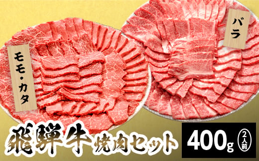 【9月発送】飛騨牛 贅沢！焼肉セット 2人前 400g  牛肉 和牛 肉 焼肉 BBQ キャンプ バーベキュー 霜降り カルビ 赤身 モモ カタ 東白川村 岐阜 岐阜県産 養老ミート