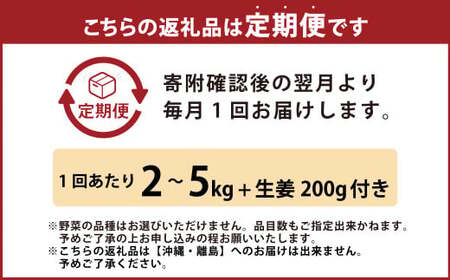 【定期便3回】旬の野菜の詰め合わせと栽培期間中農薬不使用の生姜200g付き 詰め合わせ 野菜セット 野菜 ギフト やさいセット お取り寄せグルメ 家庭用 旬野菜 新鮮 特産 農薬不要 食材