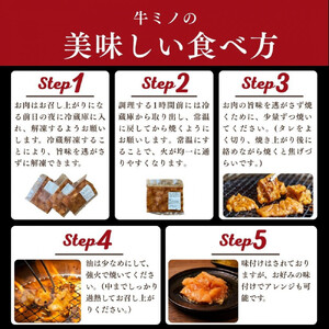 牛ミノ ピリ辛漬け 3kg ( 300g × 10パック ) 小分け 個包装 便利 牛肉 ホルモン ミノ 焼肉 焼き肉 お肉 肉 焼くだけ 冷凍 たれ 味付き BBQ アウトドア キャンプ 人気 おす