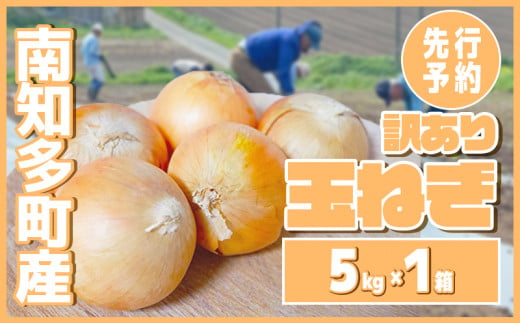 【先行予約 5～6月出荷】 訳あり 玉ねぎ 5kg(1箱)  野菜 オニオン 甘い 玉葱 肉じゃが ハンバーグ 家庭用 大きさ不揃い 先行予約