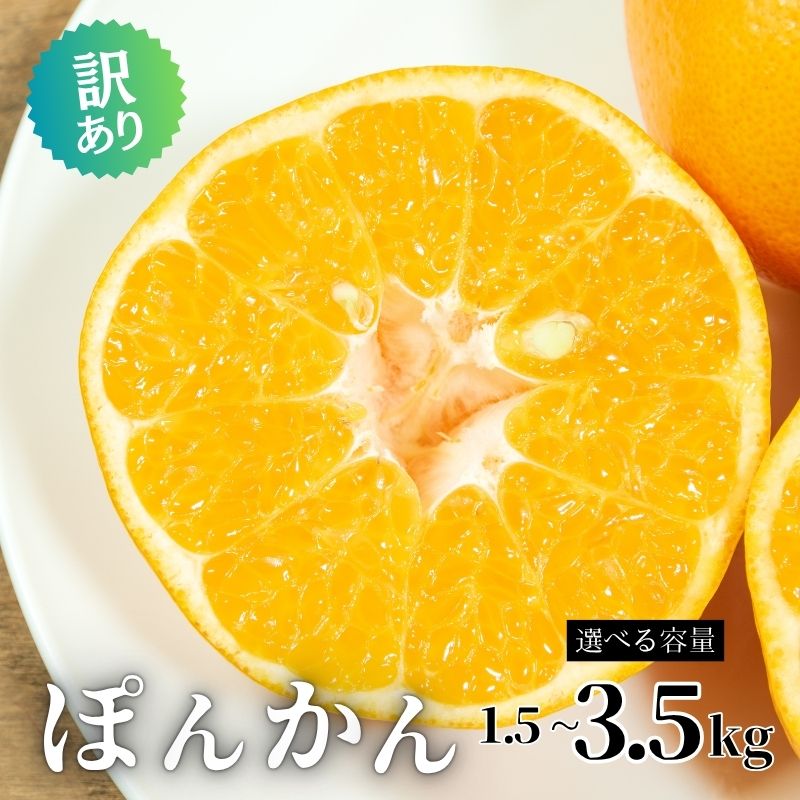 【ふるさと納税】 訳あり ポンカン ぽんかん 3.5kg/1.5kg 傷 不揃い 柑橘 みかん ミカン ぽんかん フルーツ 果物 おやつ 規格外 常温 愛媛県 愛南町青果市場 先行予約 発送:2026年 1月〜なくなり次第終了