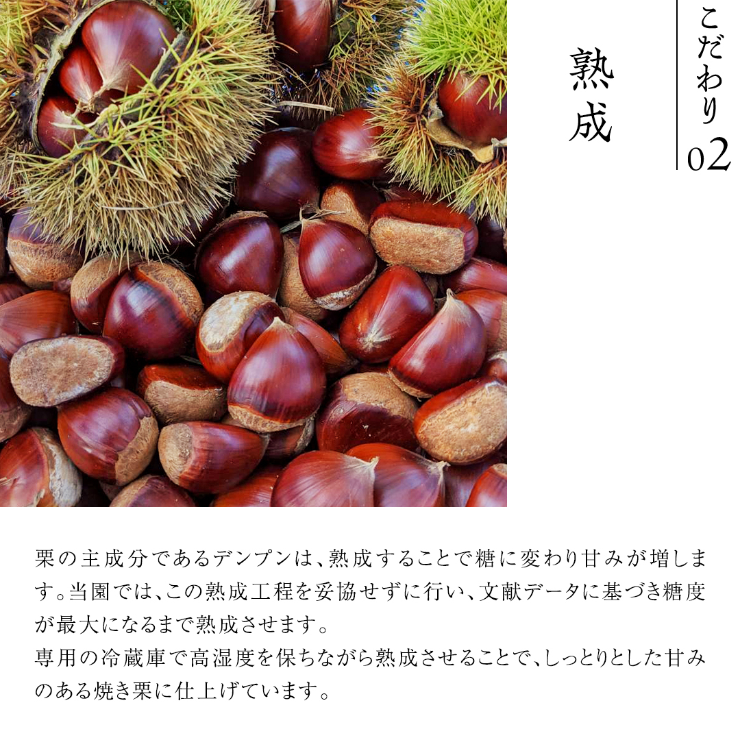 庄七農園 厳選『 最高等級 』氷蔵熟成 焼き和栗 500g 10月下旬発送開始 茨城 お取り寄せ 茨城県産 栗 くり 焼栗 おやつ スイーツ 茨城 和栗 美味しい 果物 フルーツ 庄七農園 [BK15