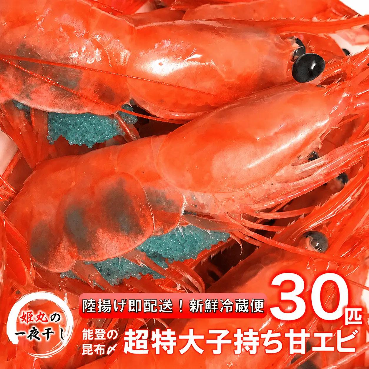 【 2026年9月~10月発送 】 子持ち甘エビ30匹丸ごと昆布〆 甘エビ