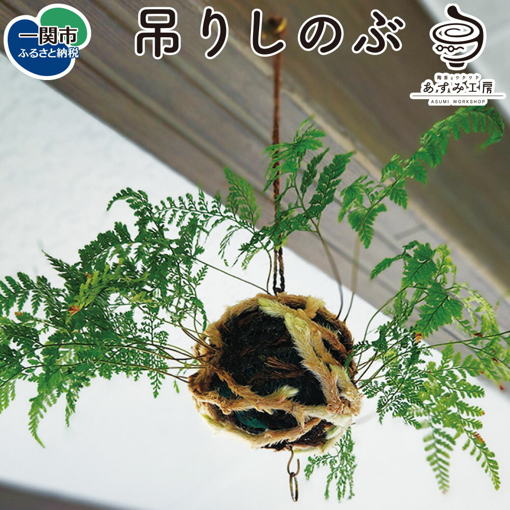 【ふるさと納税】〈先行予約〉吊りしのぶ 9cm 苔玉 観葉植物 ハンギング グリーン 室内 玄関 夏 涼 風鈴 ギフト 岩手県 一関市