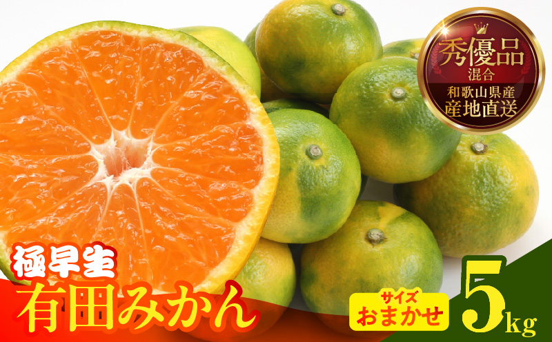 MK1072_【2025年先行予約】みかん 極早生 箱込 5kg ( 内容量4.4kg ) おまかせサイズ（S/M/L）秀品・優品 の混合 有田みかん 和歌山県産