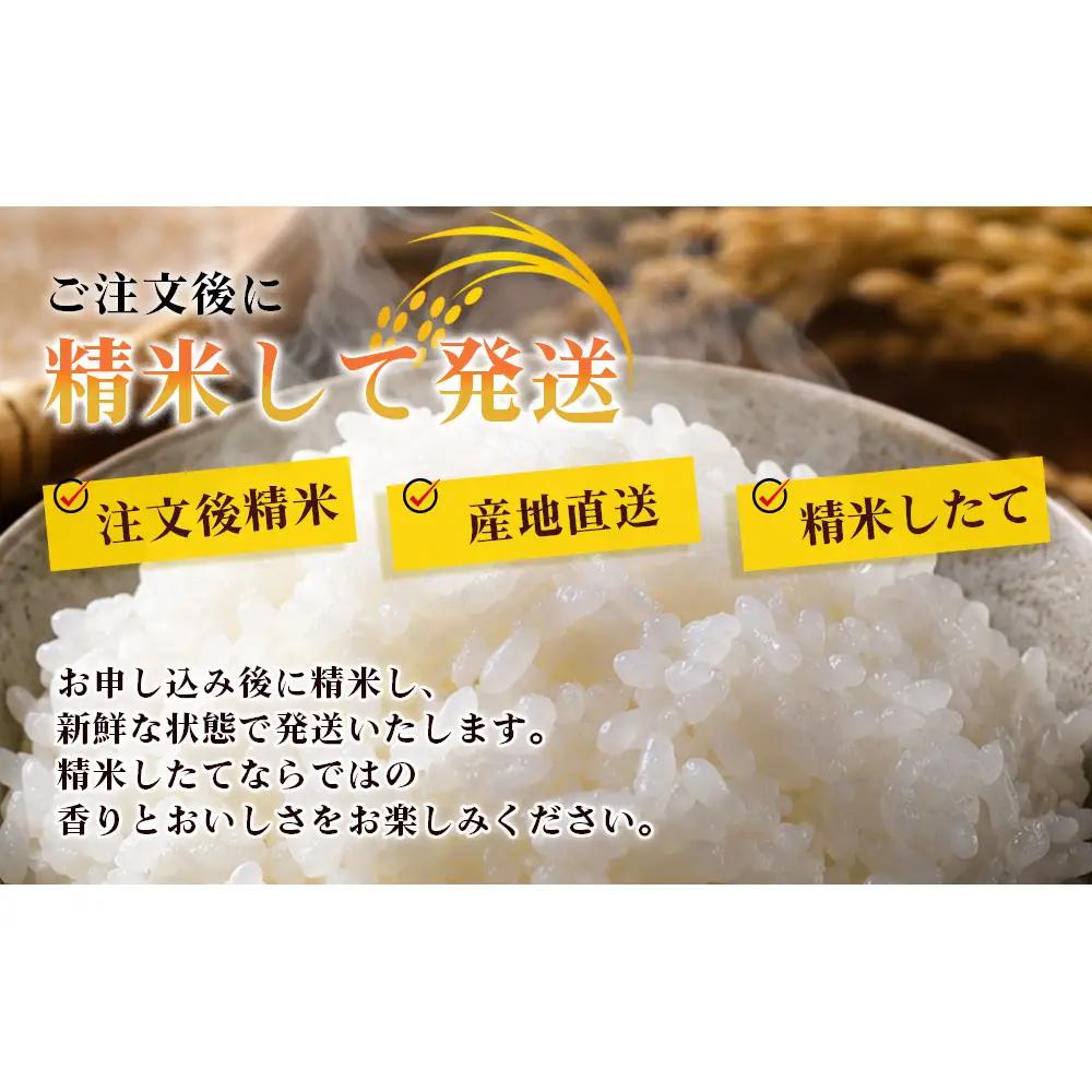 【先行予約】R8年度産 新米こしひかり白米9kg