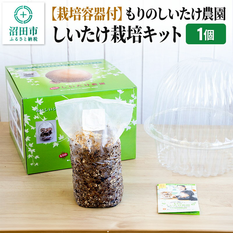 【ふるさと納税】《期間限定10〜4月発送》栽培容器付 もりのしいたけ農園「しいたけ栽培キット」1個