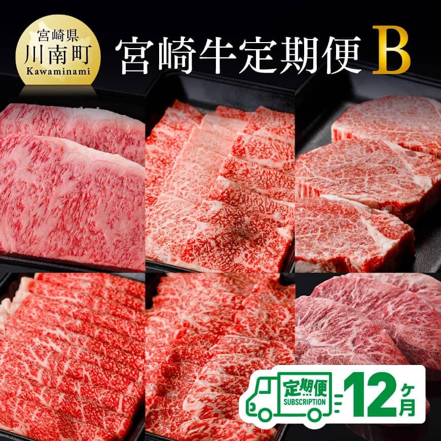 【ふるさと納税】※レビューキャンペーン※【定期便】宮崎牛 12ヶ月定期便B(ロースステーキ/肩ロース焼肉/ヒレステーキ/ウデスライス/モモ焼肉/ミスジステーキ) - 肉 牛肉 国産 宮崎県産 黒毛和牛 和牛 BBQ すき焼き ご褒美 贅沢 ミヤチク 送料無料 宮崎県川南町 D00676t12