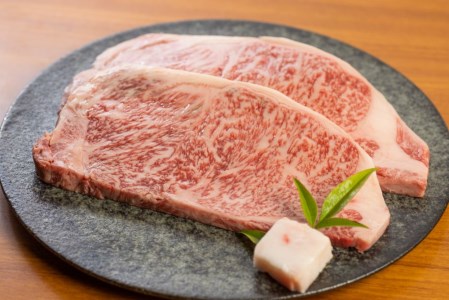 白川郷 飛騨牛 サーロインステーキ 200g×3枚 計600g 牛肉 和牛 ステーキ 国産 肉 霜降り サーロイン A4等級以上 A4 A5 贅沢 冷凍 42000円 [S371]