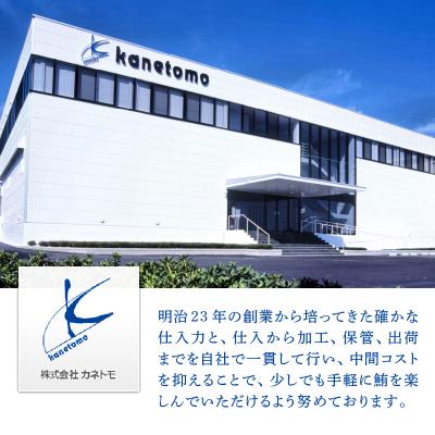 ふるさと納税 焼津市 訳あり 天然 南鮪 赤身 約600g(a10-858) |  | 03