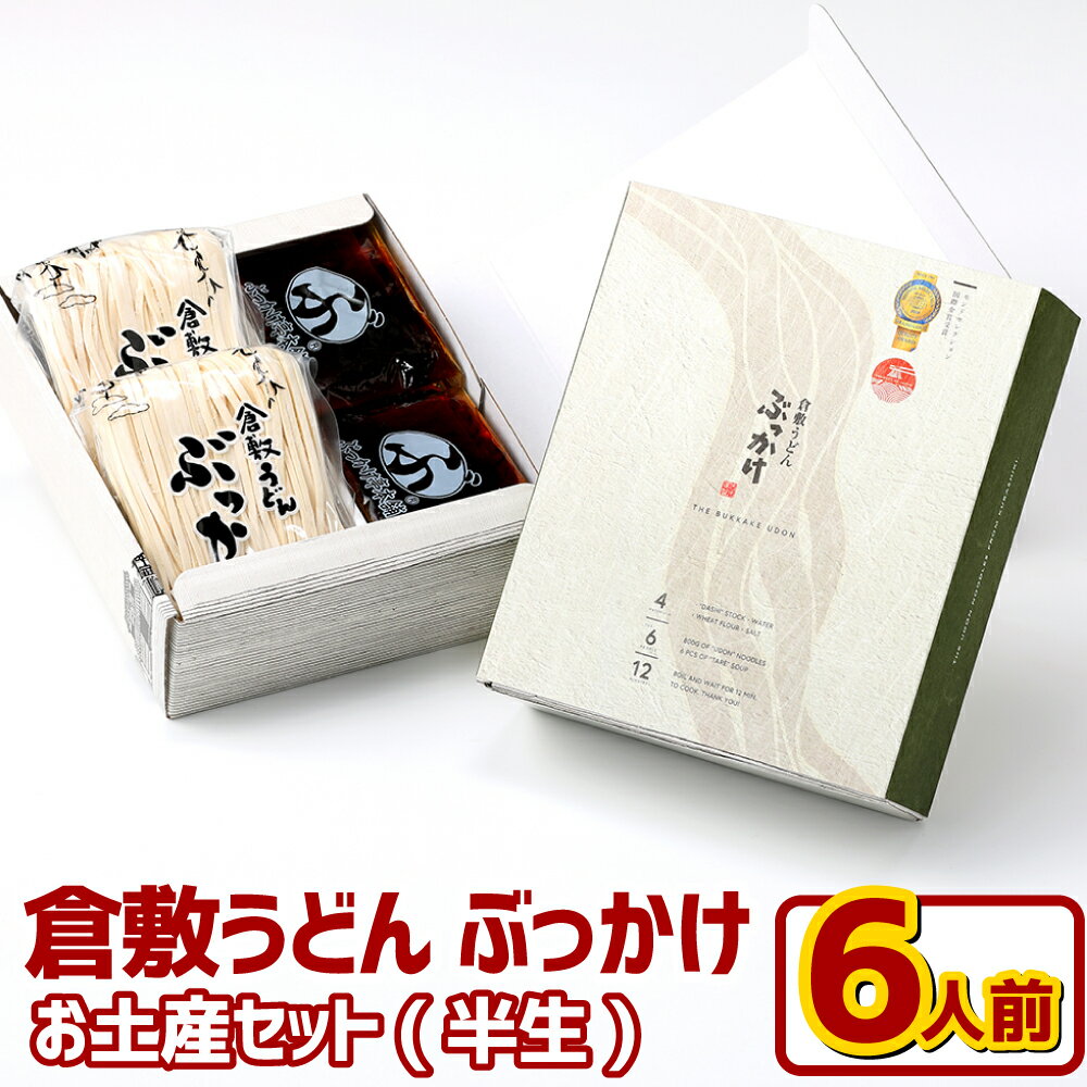 【ふるさと納税】倉敷 うどん ぶっかけ お土産 セット 半生 6人前 ふるいち　倉敷市