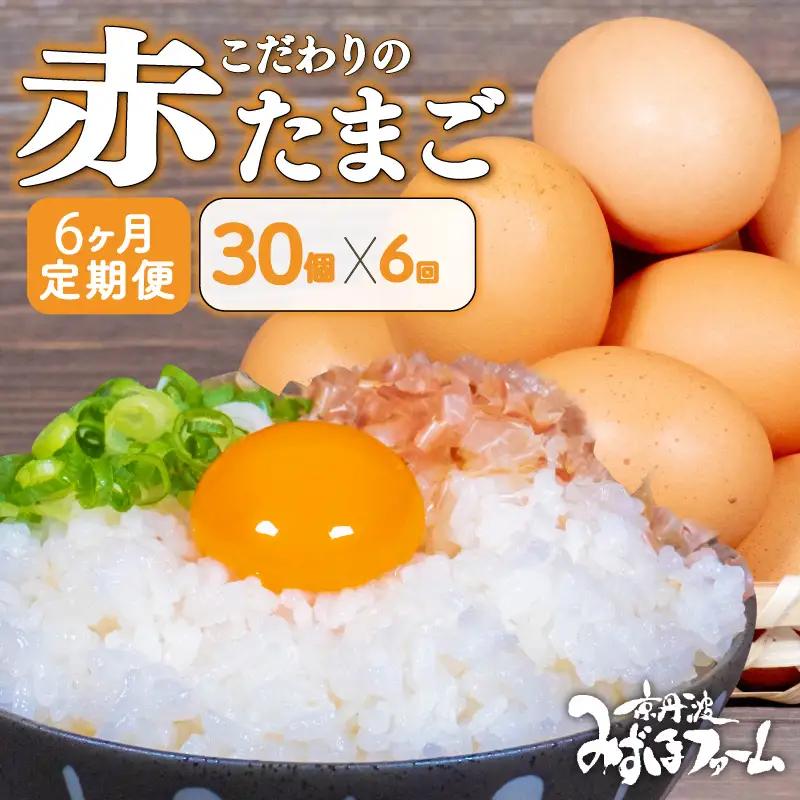 【卵 定期便6か月】 赤たまご 卵30個