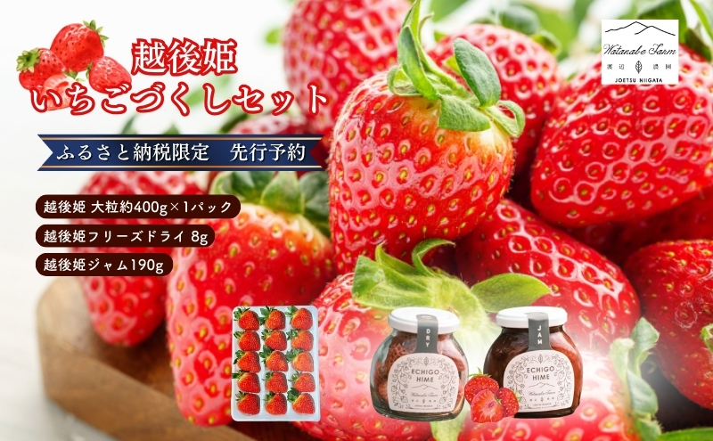 
            【ふるさと納税限定　先行予約で苺ジャムと苺のフリーズドライをセットにしました】越後姫 大粒 約400g×1パック (9～15粒入り)フリーズドライとジャムのセット イチゴ 苺 上越市 新潟
          