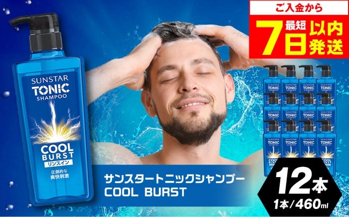 
            【最短7日以内発送】サンスタートニック リンスインシャンプー 460ml×12本＜シトラスハーブの香り＞　シャンプー リンス リンスイン 詰め替え 大容量 まとめ買い メンズ シトラス 柑橘 メントール ノンシリコン人気 定番 スカルプケア 頭皮クレンジング 皮脂洗浄 フケ かゆみ 防止 男性用 爽快感 クール ヘアケア 日用品 ストック 便利 時短 大阪府高槻市/サンスター[AOAD029]
          