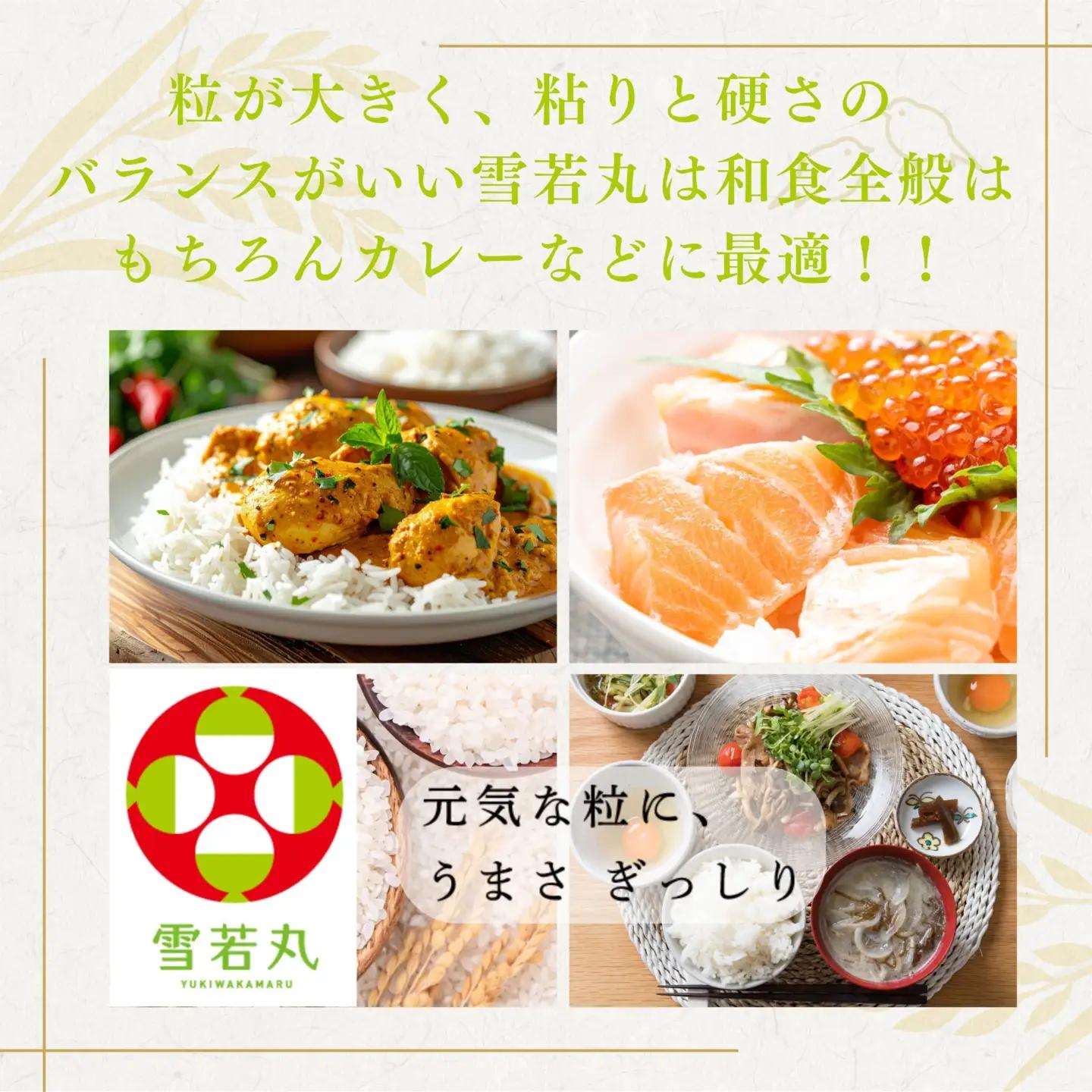 FYN1-521 【9月発送】令和7年度 山形県産 つや姫 雪若丸 20kg（各品種10kg） 白米 無洗米 ご飯 ごはん 時短 節水 国産 ブランド米 つやひめ ゆきわかまる 食品 山形県 西川町 