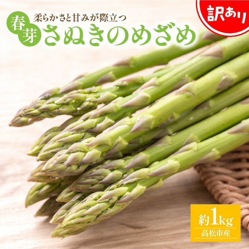 【ふるさと納税】訳あり 柔らかさと甘みが際立つ さぬきのめざめ春芽 約1kg【2026-1月下旬～2026-2月下旬配送】 | 国産 甘い ジューシー オリジナル品種 自宅用 家庭用 おうち時間 お取り寄せ 新鮮 野菜 産地直送 香川県 高松市