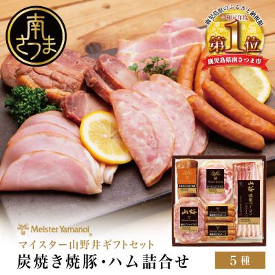 ふるさと納税 南さつま市 【 マイスター 山野井 】 炭焼き焼豚とハムの詰め合わせ(5種)チャーシュー ベーコン ギフト