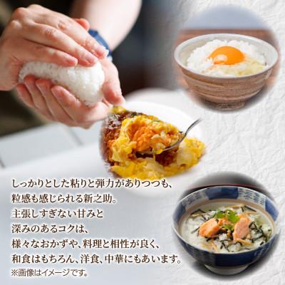 ふるさと納税 南魚沼市 【令和7年産 新米】南魚沼産 新之助 10kg 精米 新潟県 南魚沼市 |  | 01