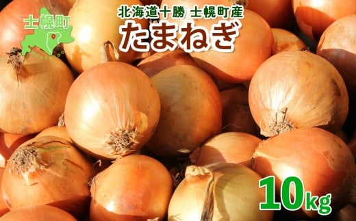 
            《期間限定》北海道 士幌産 たまねぎ 玉ねぎ タマネギ 玉ネギ 玉葱 10kg (2025年12月発送予定)  採れたて オニオン 旬の野菜 期間限定 新鮮 野菜 産地直送 産直 お取り寄せ 送料無料 十勝 士幌町 9000円 【V07】
          