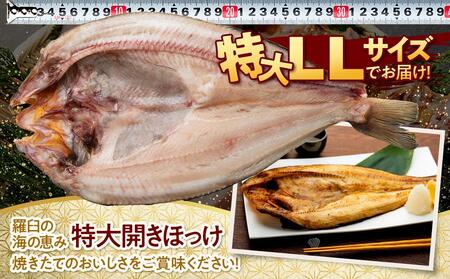 知床羅臼産 特大開きほっけ(3枚) ｜ほっけ　知床