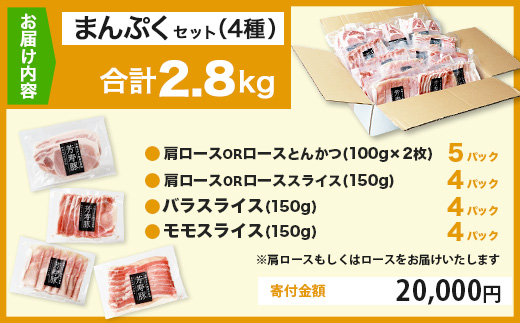 D-62 SPFプレミアムポーク芳寿豚まんぷくセット