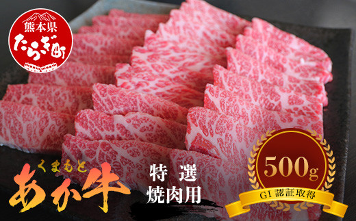 
GI認証 【 くまもとあか牛 】特選 焼肉用 500g あか牛 和牛 牛肉 熊本 ブランド牛 焼き肉 ヤキニク やきにく ごちそう 記念日 国産 お肉 050-0349
