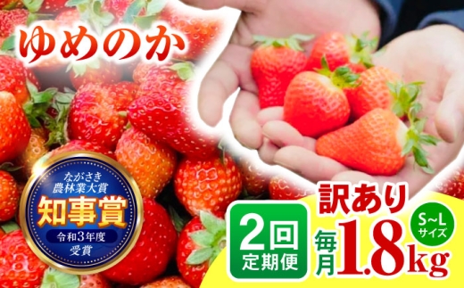 【2回定期便】※【2027年3月上旬頃より順次発送／先行予約】訳あり いちご「ゆめのか」 S-Lサイズ 1.8kg / 訳あり 訳あり商品 訳あり果物 果物訳あり いちご イチゴ 苺 イチゴジャム / 諫早市 / むらたサービス [AHFA004]