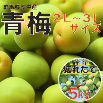 ふるさと納税 安中市 旬をお届け!青梅【2L〜3Lサイズ(5kg)】