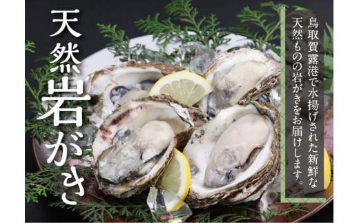 
                  鳥取賀露港 天然岩がきセット【かねまさ・浜下商店】
                