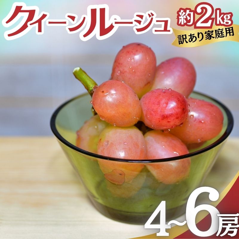 【ふるさと納税】【レビューCP実施中】ぶどう 訳あり 家庭用 クイーンルージュ 約2kg (4～6房) フルーツ 秋 2026年 10月発送　お届け：2026年10月上旬～10月下旬