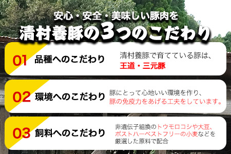 バラしゃぶしゃぶ 600g 清村養豚《60日以内に出荷予定(土日祝除く)》肉 豚 豚肉
