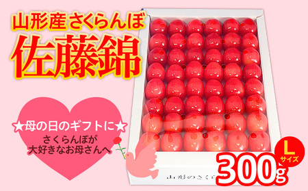 ★5月まるごと母の日★さくらんぼ 佐藤錦 Lサイズ 300g 手詰  (5/15～発送)【令和8年産先行予約】FS25-551