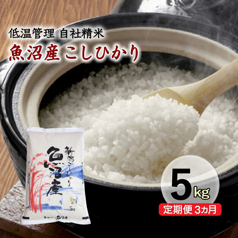 【ふるさと納税】【定期便／3ヵ月】魚沼産コシヒカリ　5kg　厳選　低温管理　自社精米　新潟　こしひかり　お届け：2026年12月中旬まで