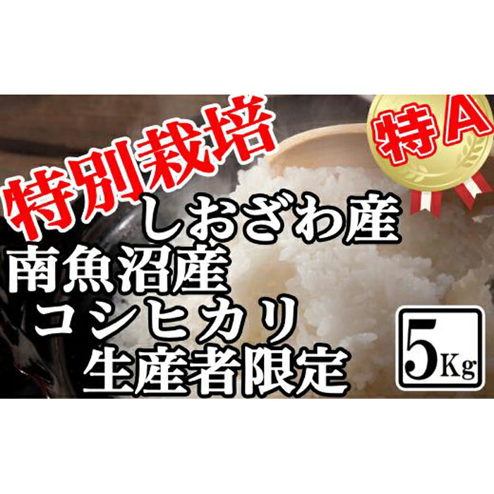 【ふるさと納税】【令和7年産】米 コシヒカリ 南魚沼しおざわ産 5kg 特別栽培【2025年10月上旬より順次発送予定】 | お米 こめ 白米 コシヒカリ 食品 人気 おすすめ 送料無料 魚沼 南魚沼 南魚沼市 新潟県産 新潟県