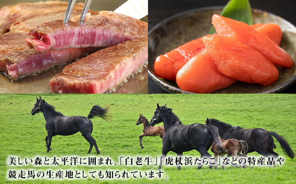 北海道 白老町☆応援寄付金☆【返礼品なし】50000円