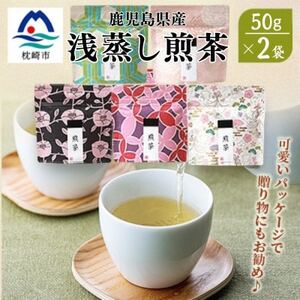 【2024年度産】浅蒸し煎茶(50g×2袋)【若蒸し煎茶】【合計100g】X0-16【1611606】