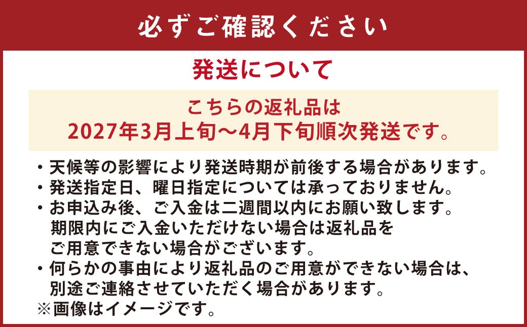 あまくさ晩柑 約9kg