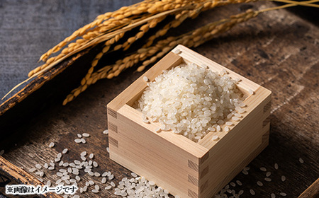 青森県産　まっしぐら　白米10kg_ 精米 米 _【配送不可地域：離島・沖縄県】【1252094】