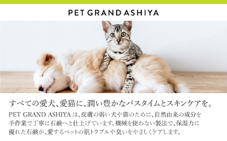 arfoamコンプリートセット｜肉球洗浄 肉球 耳洗浄 耳掃除 ケア 犬の ケア用品 ペット 犬 猫 ペット用 犬用 愛犬用 洗浄 国内製造 泡 泡シャンプー お散歩後 舐めても安心 日本製 国産