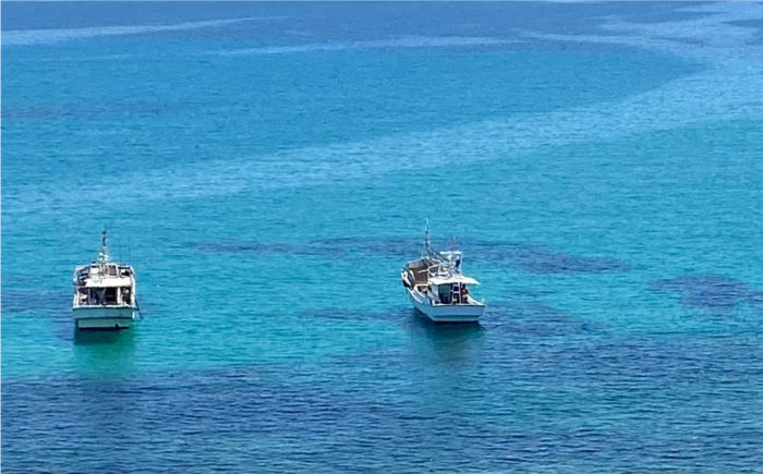 【2026年5月出荷分予約】生紫うに 60g×1本 《壱岐市》【メイリ・キッチン】[JBD054] 紫うに 生うに ウニ ムラサキウニ うに 雲丹 海産物 海鮮 冷蔵 ご飯のお供 ごはんのおとも 瓶詰