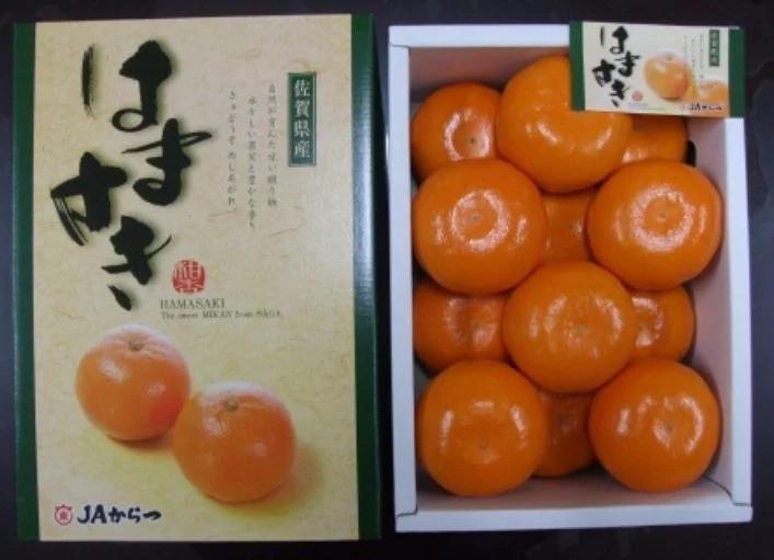 佐賀みかん はまさき2.5kg化粧箱入り 214-B919