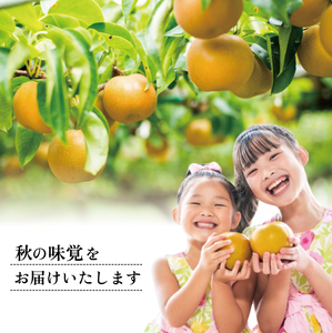 SA2988　刈屋梨　幸水　約3kg(6～10玉入)