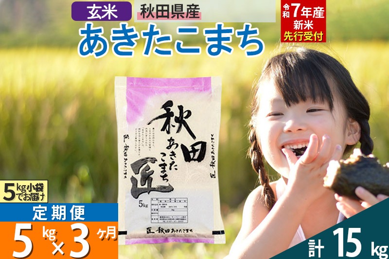 【玄米】＜令和7年産 新米予約＞ 《定期便3ヶ月》秋田県産 あきたこまち 5kg (5kg×1袋)×3回 5キロ お米  新米|02_snk-020303s