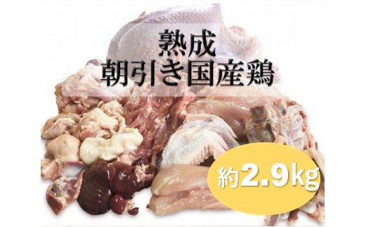 
熟成　朝引き国産鶏　約2.9kg / 鶏肉 国産 セット 小分け 鳥 一羽 オーダーメイド 手さばき
