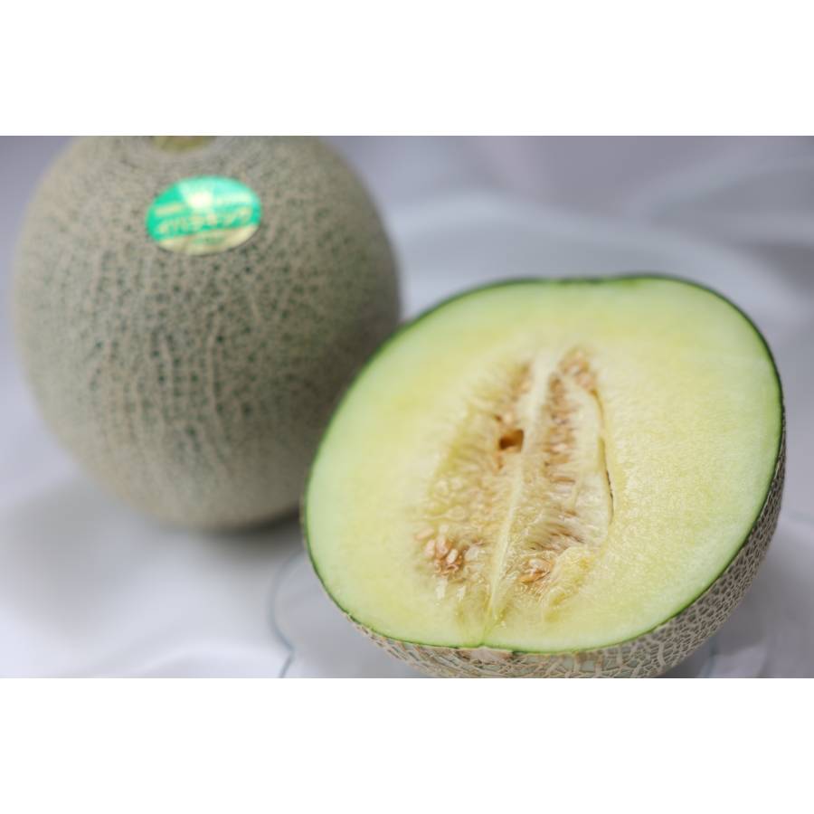 ＜山一ファーム＞贈答用イバラキングメロン化粧箱入り（４L/1玉）