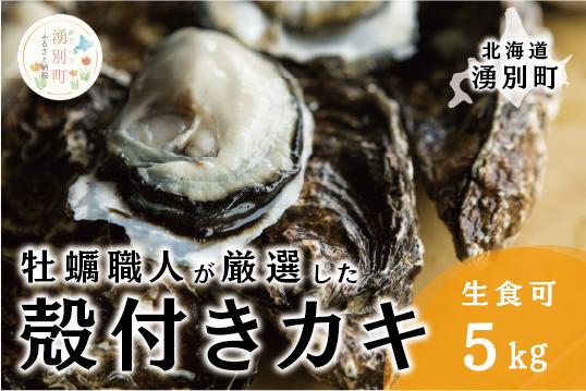 
            [№5930-0335]<先行予約2025年11月中旬から発送>牡蠣職人が厳選した殻付きカキ 5kg（生食可）牡蠣　かき　カキ　海鮮　魚介　国産　殻付き　冷蔵　焼き牡蠣　蒸し牡蠣　産地直送　生牡蠣　生食　サロマ湖　オホーツク　北海道　湧別町
          